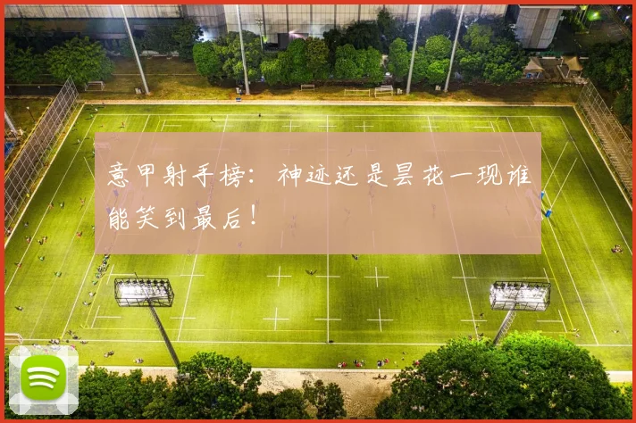 意甲射手榜:神迹还是昙花一现谁能笑到最后!